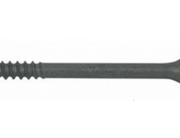 Batten Purlin Screw2