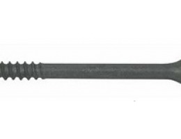 Batten Purlin Screw3