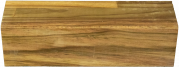 SS