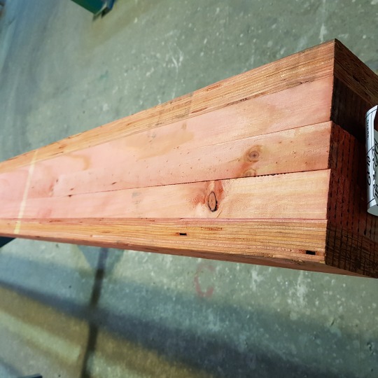 Buy PROLAM PL8 & PL12 Structural Engineered Laminated Beams Visual H3.2