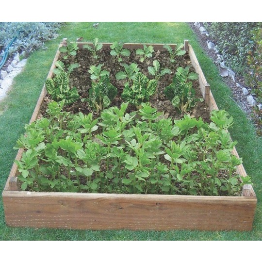 buy kitset vege garden online diy direct
